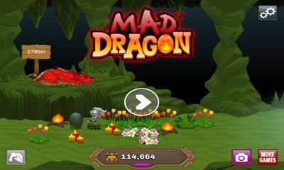 game pic for Mad Dragon